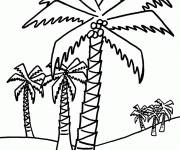 Coloriage Plusieurs de palmiers