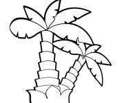 Coloriage Section de cat&eacute;gorie arbre palmier