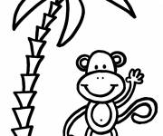Coloriage Singe et Palmier