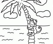 Coloriage Singe sur un Palmier
