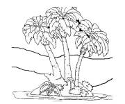 Coloriage Trois Palmiers dans un petit iles
