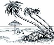 Coloriage Trois palmiers inclin&eacute;s sur la plage tropicale