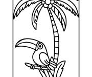Coloriage Un perroquet sur le branche de palmier