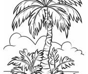 Coloriage Un vue agr&eacute;able d'un arbre de palmier