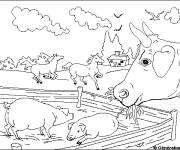 Coloriage Campagne 32