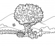 Coloriage Campagne paysage  couleur