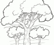 Coloriage Des Arbres vecteur noir