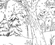 Coloriage La neige tombe dans la Forêt