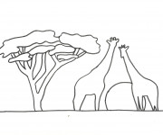 Coloriage Paysage de girafes