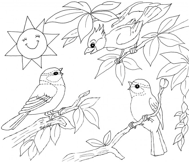 Coloriage Paysage de Oiseaux qui chantent dessin gratuit à imprimer