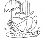 Coloriage Grenouille sous la pluie