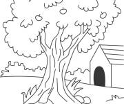 Coloriage et dessins gratuit Arbre de pomme dans la jardin à imprimer
