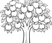 Coloriage C'est la saison des pommes et le pommier est pr&ecirc;te