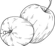 Coloriage Des pommes fraiches