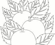 Coloriage Des pommes sur des feuilles