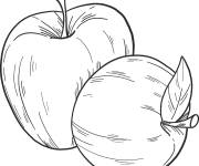 Coloriage Deux pommes maternelle