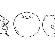 Coloriage Feuille de pommier avec une pomme coup&eacute;e