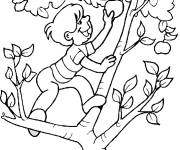 Coloriage et dessins gratuit Gar&ccedil;on sur une pommier r&eacute;colte ses fruits favori à imprimer