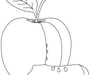Coloriage G&eacute;ante pomme coup&eacute;