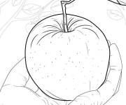 Coloriage La main tenant une pomme rouge d&eacute;licieuse