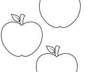 Coloriage Mod&egrave;le de plan &agrave; trois pommes