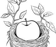 Coloriage Pomme dans un nid d&rsquo;oiseau