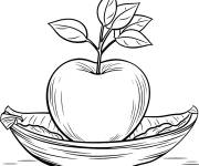 Coloriage Pomme dans un petit bateau