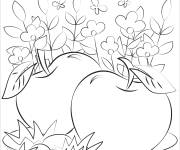 Coloriage Pomme fruit potager