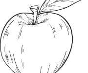 Coloriage Pomme rouge maternelle fruit