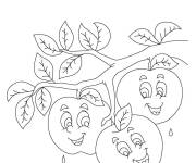 Coloriage Pommes en rigolant sur les branche d'un pommier