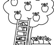 Coloriage Pommier et pommes pendant le printemps