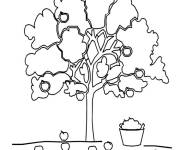 Coloriage Pommier stylis&eacute;