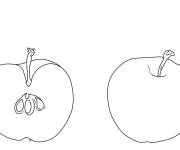 Coloriage Tranche et une pomme en noir et blanc