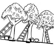 Coloriage Trois pommiers pendant la saison de pommes