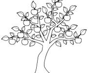 Coloriage Un riche pommier