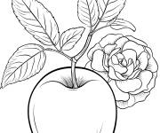 Coloriage Une pomme et une rose