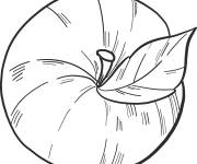 Coloriage Une pomme r&eacute;aliste vue de haut