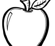 Coloriage Une pomme r&eacute;colt&eacute;e