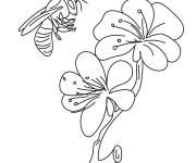 Coloriage Abeille et rose d&eacute;taill&eacute;s
