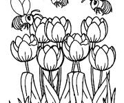 Coloriage Abeilles cherche la nourriture des tulipes