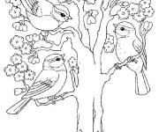 Coloriage Arbre et oiseaux pendant le printemps