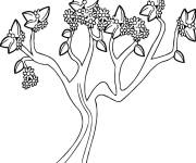 Coloriage Arbre plein de vivacit&eacute; au printemps
