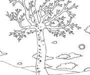 Coloriage Arbre sans feuille au d&eacute;but du printemps