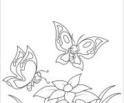 Coloriage Au printemps les papillons survole les fleurs