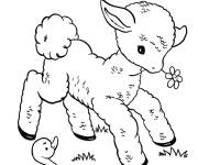 Coloriage B&eacute;b&eacute; agneau penant le Printemps