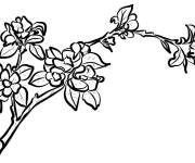Coloriage et dessins gratuit Branche d&rsquo;arbre fleurit à imprimer