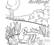 Coloriage Canards au Printemps
