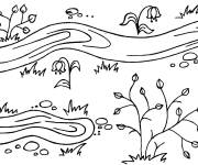 Coloriage Des fleurs du printemps sur un ruisseau