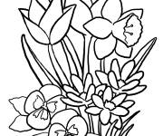 Coloriage et dessins gratuit Des jolis tulipes s'ouvrent à imprimer