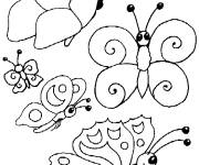 Coloriage et dessins gratuit Famille de papillon en Printemps à imprimer